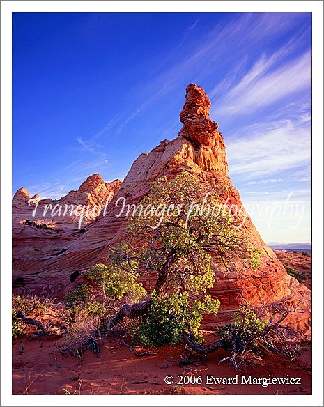 450342C   South Coyote Buttes 